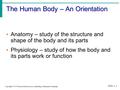 The Human Body – An Orientation Slide 1.1 Copyright © 2003 Pearson Education, Inc. publishing as Benjamin Cummings Anatomy – study of the structure and.