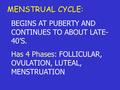 MENSTRUAL CYCLE: BEGINS AT PUBERTY AND CONTINUES TO ABOUT LATE- 40’S. Has 4 Phases: FOLLICULAR, OVULATION, LUTEAL, MENSTRUATION.