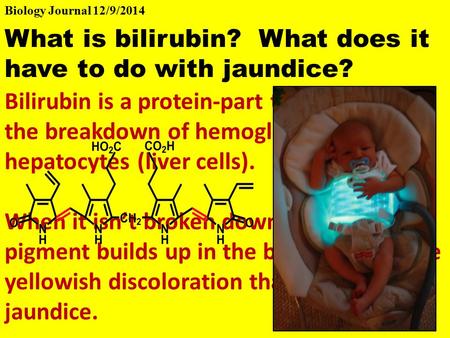 What is bilirubin? What does it have to do with jaundice? Bilirubin is a protein-part that is left from the breakdown of hemoglobin by hepatocytes (liver.