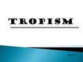 TROPISM NEXT. There are many types of tropisms : Phototropism Geotropism Thigmotropism Hydrotropism Chemotropism Thermotropism 3 main types TROPISM Plant.