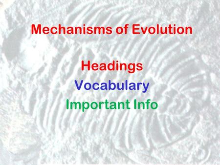 Mechanisms of Evolution Headings Vocabulary Important Info.