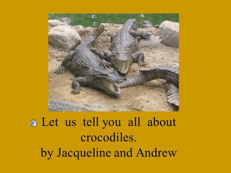 Let us tell you all about crocodiles. by Jacqueline and Andrew.