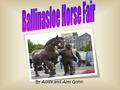 By Aoife and Amy Glynn. The Ballinasloe Fair The Ballinasloe October Fair is the oldest horse fair in Europe.