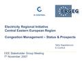 Electricity Regional Initiative Central Eastern European Region Congestion Management – Status & Prospects Tahir Kapetanovic E-Control CEE Stakeholder.