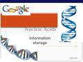 AP Biology Nucleic Acids 2006-2007 Information storage.