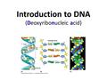 Introduction to DNA (Deoxyribonucleic acid). What do you know?