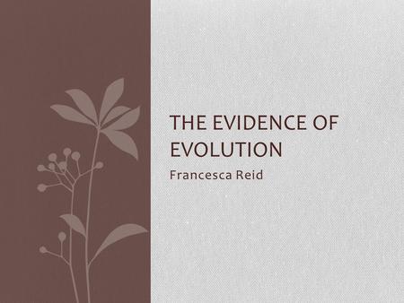 Francesca Reid THE EVIDENCE OF EVOLUTION. Palaeontology Palaeontology is the study of fossils that remain from a once- living organism. Fossils are made.