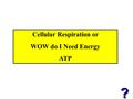 Cellular Respiration or WOW do I Need Energy ATP.