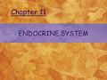 ENDOCRINE SYSTEM Chapter 11. © 2004 Delmar Learning, a Division of Thomson Learning, Inc. FUNCTION OF THE ENDOCRINE SYSTEM.