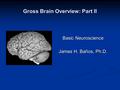 Gross Brain Overview: Part II Basic Neuroscience James H. Baños, Ph.D.