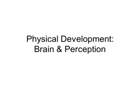 Physical Development: Brain & Perception. Principles of Physical Development Children’s bodies are dynamic systems Different parts of the body mature.