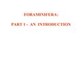 FORAMINIFERA: PART 1 - AN INTRODUCTION. FORAMINIFERA Single-celled Amoeba- like Testate & usually multichambered Net-like pseudopods –Anastomosing & –Reticulating.