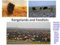 Rangelands and Feedlots  w.youtube.com/watc h?v=_8GZ 4KnAbKQ  utube.c om/wat ch?v=3 GPPtHT j8tY.