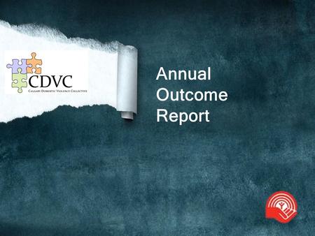 Annual Outcome Report. CDVC Pillars of Priority 1.To develop capacity of professionals and allied professionals to address domestic & sexual violence.