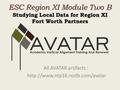 ESC Region XI Module Two B Studying Local Data for Region XI Fort Worth Partners All AVATAR artifacts :