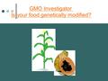 GMO Investigator Is your food genetically modified?