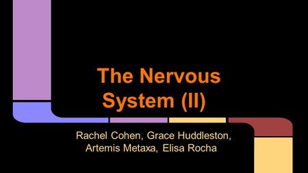 The Nervous System (II) Rachel Cohen, Grace Huddleston, Artemis Metaxa, Elisa Rocha.