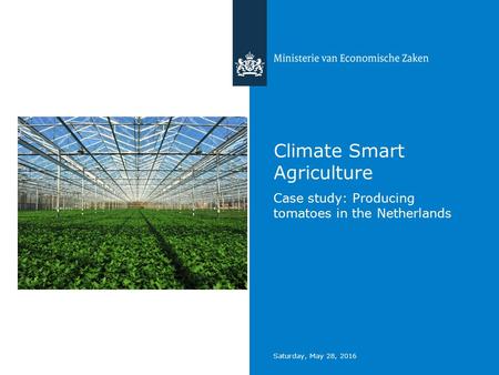 Saturday, May 28, 2016 Climate Smart Agriculture Case study: Producing tomatoes in the Netherlands.