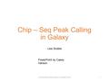 Chip – Seq Peak Calling in Galaxy Lisa Stubbs Chip-Seq Peak Calling in Galaxy | Lisa Stubbs | 20151 PowerPoint by Casey Hanson.