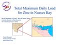 David Maidment & Lynn E. Katz & Imane Mrini Center for Research in Water Resources The University of Texas at Austin Total Maximum Daily Load for Zinc.