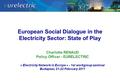 European Social Dialogue in the Electricity Sector: State of Play Charlotte RENAUD Policy Officer - EURELECTRIC « Electricity Network in Europe » - 1st.