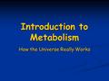 Introduction to Metabolism How the Universe Really Works.