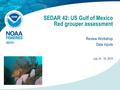 SEDAR 42: US Gulf of Mexico Red grouper assessment Review Workshop Data inputs SEFSC July 14 - 16, 2015.