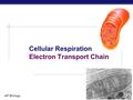 AP Biology 2005-2006 Cellular Respiration Electron Transport Chain.