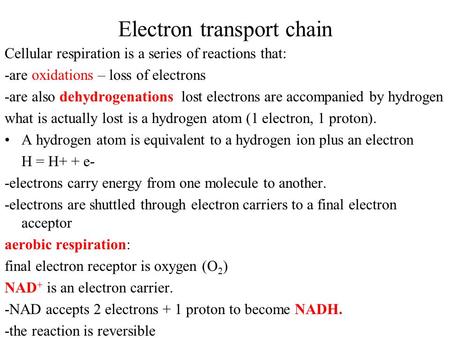 Electron transport chain Cellular respiration is a series of reactions that: -are oxidations – loss of electrons -are also dehydrogenations lost electrons.