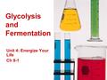 Glycolysis and Fermentation Unit 4: Energize Your Life Ch 9-1.