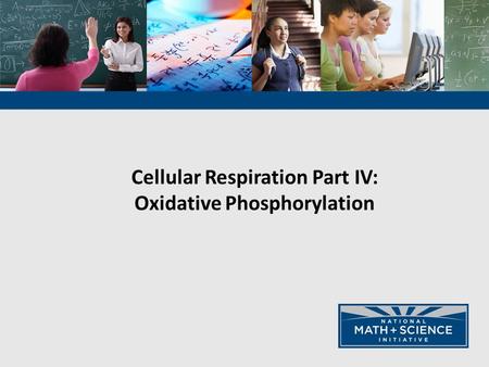 Cellular Respiration Part IV: Oxidative Phosphorylation.