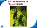 Slide 1 of 51 Copyright Pearson Prentice Hall 8-3 The Reactions of Photosynthesis.