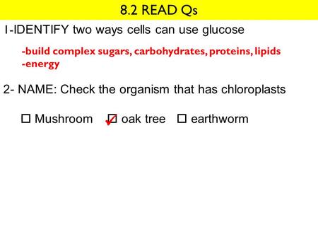 8.2 READ Qs 1- IDENTIFY two ways cells can use glucose 2- NAME: Check the organism that has chloroplasts  Mushroom  oak tree  earthworm -build complex.