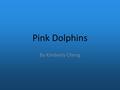 Pink Dolphins By Kimberly Cheng. What are Pink Dolphins? Pink Dolphins are mammals. They belong to a sub-species of the Chinese White Dolphin, which is.
