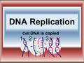 DNA Replication Cell DNA is copied. What is meant by DNA REPLICATION: Replicate means copy, or duplicate. DNA in cells must be copied exactly. During.