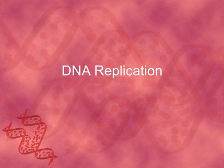 DNA Replication. When does DNA replication happen during the cell cycle? The S phase In order to go through cell division we must have two copies of DNA.