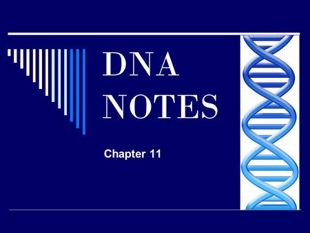 DNA NOTES Chapter 11. What does DNA stand for? __________________________ DNA is made up of single units (building blocks) called ______________.