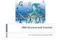 DNA Structure and Function 12.1 Function and structure of DNA.