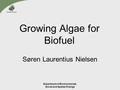 Growing Algae for Biofuel Søren Laurentius Nielsen Department of Environmental, Social and Spatial Change.