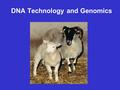 DNA Technology and Genomics. Genetic Engineering/ DNA Technology 3 types of Cloning Technologies: 1.Recombinant DNA Technology/ DNA Cloning 2. Reproductive.