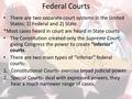 Federal Courts There are two separate court systems in the United States: 1) Federal and 2) State *Most cases heard in court are heard in State courts.