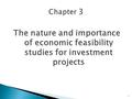 The nature and importance of economic feasibility studies for investment projects 1.