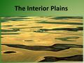 The Interior Plains. The Interior Plains is located between the Cordillera and the Great Canadian Shield.