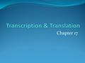 Chapter 17. The Central Dogma Transcription & Translation Three main steps for each: Initiation Elongation Termination.
