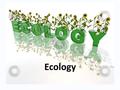 Ecology. ECOLOGY What is the study of living things and how they interact with their environment?