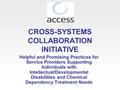 CROSS-SYSTEMS COLLABORATION INITIATIVE Helpful and Promising Practices for Service Providers Supporting Individuals with Intellectual/Developmental Disabilities.