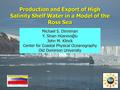 Production and Export of High Salinity Shelf Water in a Model of the Ross Sea Michael S. Dinniman Y. Sinan Hüsrevoğlu John M. Klinck Center for Coastal.