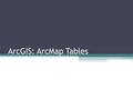 ArcGIS: ArcMap Tables. Agenda Opening tables The interface Working with columns Working with records Making selections Advanced table tools ▫Add fields.