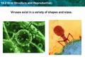 18.2 Viral Structure and Reproduction Viruses exist in a variety of shapes and sizes.