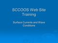 SCCOOS Web Site Training Surface Currents and Wave Conditions.